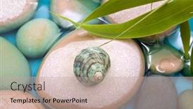  Presentation with water bamboo - Presentation theme enhanced with pebbles bamboo leafs water shell background and a coral colored foreground