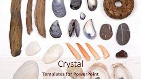  Presentation with fishing net - Cool new presentation theme with pebbles driftwood and a fishing backdrop and a lemonade colored foreground