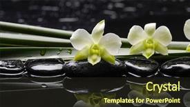  Presentation with green life - Theme having pebbles water - spa still life with white background and a  colored foreground