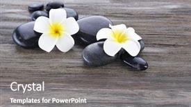  Presentation with stones - Cool new PPT theme with pebbles water - wet spa stones with flowers backdrop and a  colored foreground