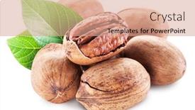  Presentation with nuts - Colorful PPT theme enhanced with pecan nuts isolated backdrop and a coral colored foreground