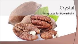  Presentation with nuts - PPT theme with pecan nuts with leaf background and a light gray colored foreground