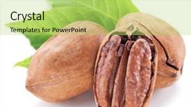 Presentation with nuts - Audience pleasing slides consisting of pecan nuts with leaves isolated on a white background backdrop and a yellow colored foreground