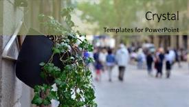  Presentation with pedestrian - Audience pleasing presentation design consisting of pedestrian street in the born backdrop and a mint green colored foreground