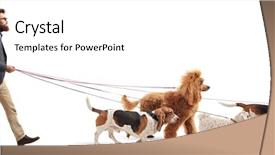  Presentation with full length portrait two men women brown sweater - Beautiful slide deck featuring pedigree - full length profile shot backdrop and a white colored foreground