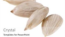  Presentation with almonds - Audience pleasing presentation design consisting of peeled-almonds-seed-close-up backdrop and a white colored foreground