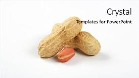  Presentation with peanuts - PPT theme with peeled and unpeeled peanuts on white background background and a pink colored foreground