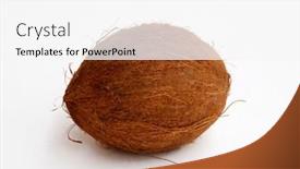  Presentation with coconut fruit - 