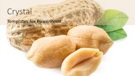  Presentation with peanut - Audience pleasing PPT theme consisting of peeled-peanuts-and-peanut-pod backdrop and a lemonade colored foreground