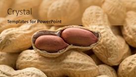  Presentation with peanuts - Audience pleasing presentation theme consisting of peeled peanuts close up on top of unpeeled peanuts full frame backdrop and a yellow colored foreground