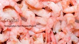  Presentation with lens - PPT theme with peeled-prawns-prime-lens-macro background and a coral colored foreground