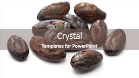  Presentation with cacao - Slide set consisting of peeled roasted cacao cocoa beans background and a violet colored foreground