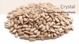  Presentation with sunflower sunflower sunflower sunflower sunflower - Theme with peeled sunflower seeds isolated on white background and a lemonade colored foreground