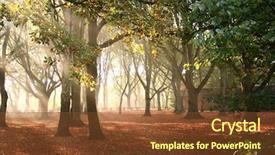  Presentation with lights through forest - Colorful slide set enhanced with peeping through an enchanted forest backdrop and a tawny brown colored foreground