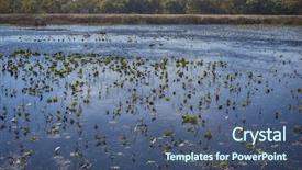  Presentation with wetland - Amazing slide set having wetland landscape on point pelee backdrop and a ocean colored foreground