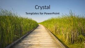  Presentation with walk - Beautiful PPT layouts featuring marsh - wooden board walk on pelee backdrop and a light blue colored foreground