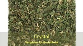  Presentation with urinary tract infections - PPT layouts having pellitory-of-the-wall-herb background and a tawny brown colored foreground