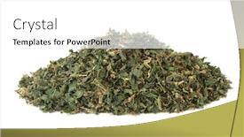  Presentation with urinary tract infections - Amazing slides having pellitory-of-the-wall-herb backdrop and a white colored foreground