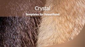  Presentation with texture - Slide deck with pelt - fur background and texture background and a coral colored foreground