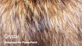  Presentation with text the texture mineral - Cool new presentation design with pelt - fur background and texture backdrop and a violet colored foreground