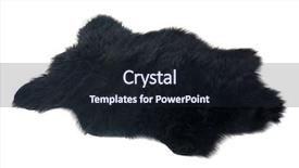  Presentation with carpet - Colorful theme enhanced with pelt - fur carpet over white background backdrop and a wine colored foreground