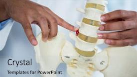  Presentation with spine - Theme enhanced with pelvis - mid section of physiotherapist pointing background and a light blue colored foreground