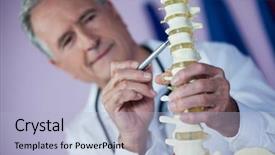  Presentation with spine - Theme with pelvis - physiotherapist examining a spine model background and a light blue colored foreground