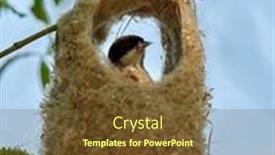  Presentation with gas planet construction - Slides having penduline-tit-during-construction background and a tawny brown colored foreground