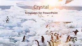  Presentation with glacier - Audience pleasing theme consisting of penguins-standing-on-melting-glacier backdrop and a lemonade colored foreground