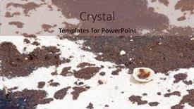  Presentation with seashell - Amazing PPT layouts having pensacola-beach-june-23 backdrop and a coral colored foreground