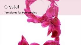  Presentation with pink rose petals on white - Cool new presentation design with peon petals digits digit 9 backdrop and a coral colored foreground
