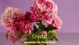  Presentation with postcard - Slide deck having peonies-bouquet-frame-postcard-mother background and a tawny brown colored foreground