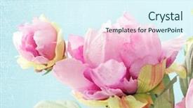  Presentation with peony flower - Slide deck with peony flowers background and a sky blue colored foreground