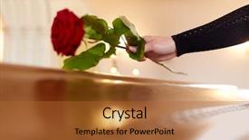  Presentation with funeral roses - Slide set consisting of people and mourning concept - woman background and a red colored foreground