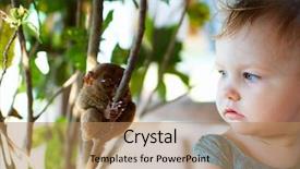  Presentation with cute - Presentation design consisting of people animals - cute little girl looking background and a coral colored foreground