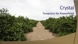  Presentation with lemons - Colorful slide set enhanced with people around the world backdrop and a sky blue colored foreground