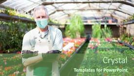  Presentation with greenhouse - Beautiful PPT theme featuring people-at-work backdrop and a tawny brown colored foreground