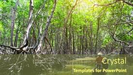  Presentation with boating - Theme having people-boating-in-mangrove-forest background and a tawny brown colored foreground
