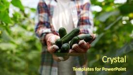  Presentation with agriculture greenhouse - Colorful presentation enhanced with people concept - farmer with cucumber backdrop and a tawny brown colored foreground