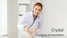  Presentation with fold - Audience pleasing presentation theme consisting of people concept - happy vet backdrop and a light gray colored foreground