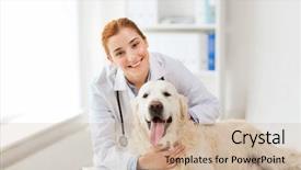  Presentation with animals - Cool new PPT layouts with doctor with golden retriever dog backdrop and a soft green colored foreground