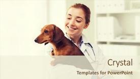  Presentation with animals - Audience pleasing slide deck consisting of people concept - happy veterinarian backdrop and a cream colored foreground
