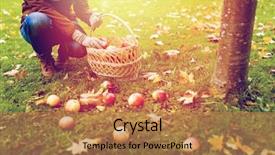  Presentation with farming - Slide deck enhanced with people concept - woman picking apple background and a coral colored foreground