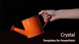  Presentation with black and darg orang preson - Slide set having people diffus - female hand holding orange metal background and a wine colored foreground