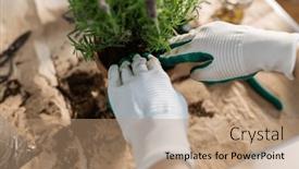  Presentation with home gardening - Presentation theme with people-gardening-and-housework-concept background and a coral colored foreground