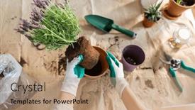  Presentation with home gardening - PPT theme featuring people-gardening-and-housework-concept background and a coral colored foreground