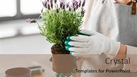  Presentation with home gardening - Theme consisting of people-gardening-and-housework-concept background and a coral colored foreground