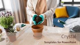  Presentation with home gardening - Slide set consisting of people-gardening-and-housework-concept background and a soft green colored foreground