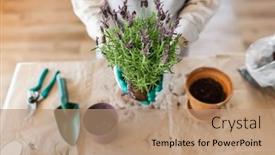  Presentation with home gardening - Slides enhanced with people-gardening-and-housework-concept background and a coral colored foreground