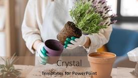  Presentation with home gardening - Slide set featuring people-gardening-and-housework-concept background and a coral colored foreground